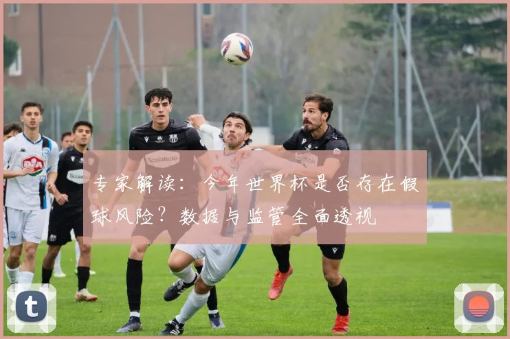 专家解读：今年世界杯是否存在假球风险？数据与监管全面透视