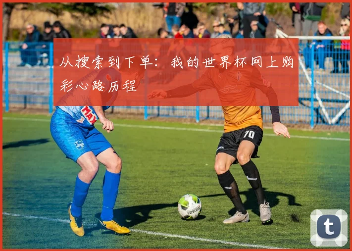 从搜索到下单：我的世界杯网上购彩心路历程