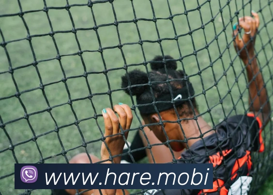 云开体app官网入口平台生态图