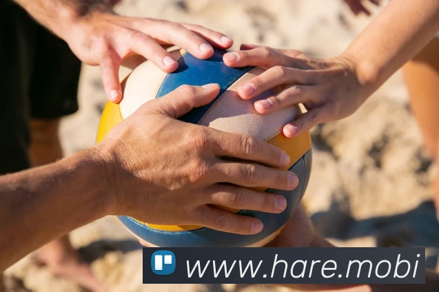 云开体app官网入口全站App